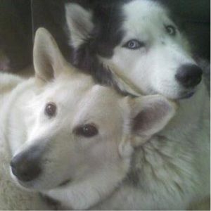 Meet your Posher, Christopher